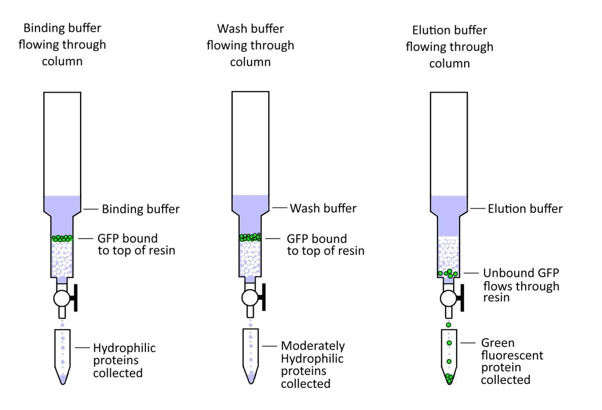 Complex image showing 3 columns with collection tubes.
