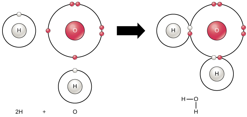 En la primera imagen se muestra un átomo de oxígeno con seis electrones de valencia. Cuatro de estos electrones de valencia forman pares en los lados superior y derecho del caparazón de valencia. Los otros dos electrones están solos en los lados inferior e izquierdo. Un átomo de hidrógeno se sienta al lado de cada uno del electrón solitario del oxígeno. Cada hidrógeno tiene un solo electrón de valencia. Una flecha indica que se produce una reacción. Después de la reacción, en la segunda imagen, cada electrón desapareado en el oxígeno se une a un electrón de uno de los átomos de hidrógeno de manera que los anillos de valencia ahora están conectados entre sí. El enlace que se forma entre el oxígeno y el hidrógeno también puede ser representado por un guion.