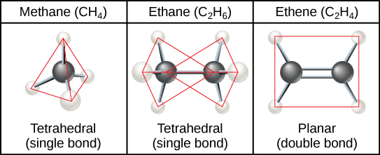 O metano, o hidrocarboneto mais simples, é composto por quatro átomos de hidrogênio ao redor de um carbono central. A ligação entre os quatro átomos de hidrogênio e o carbono central espaçada o mais longe possível. Isso resulta em uma forma tetraédrica com átomos de hidrogênio projetando-se para cima e para fora em três lados ao redor do carbono central. O etano é composto por dois carbonos conectados por uma única ligação. Cada carbono também tem três átomos de hidrogênio conectados a ele. Os hidrogênios estão tão distantes um do outro e do outro carbono, então, novamente, a forma é tetraédrica. O eteno, como o etano, é composto por dois átomos de carbono, mas neste caso os carbonos são conectados por uma ligação dupla. Cada carbono também tem dois átomos de hidrogênio conectados a ele, totalizando três ligações. As três ligações estão o mais afastadas possível em torno do carbono, o que significa que estão todas no mesmo plano e apontando para três direções. Como resultado, a molécula é plana ou plana.
