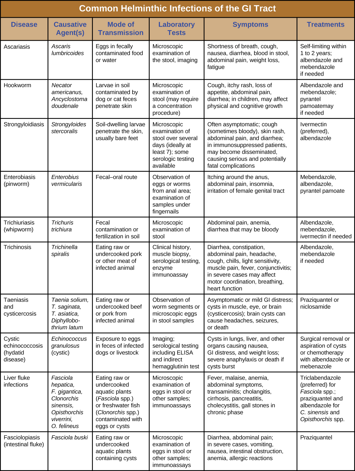 Table titled: Helminthic Infections of the GI Tract. Columns: Disease, Pathogen, Signs and Symptoms, Transmission, Diagnostic Tests, Antimicrobial Drugs. Ascariasis; Ascaris lumbricoides; Shortness of breath, cough, nausea, diarrhea, bloody stool, abdominal pain, weight loss, fatigue, worms in stool or sputum; Ingestion of eggs in fecally contaminated food and water; Microscopic observation of eggs in stool sample, X-rays, ultrasounds or MRIs; Albendazole, mebendazole. Hookworm; Necator americanus, Ancyclostoma doudenale; Cough, itchy rash, wheezing, loss of appetite, abdominal pain, diarrhea, cutaneous larva migrans; Larvae in soil contaminated by dog or cat feces penetrate the skin; Microscopic observation of eggs in stool sample; Albendazole, mebendazole, pyrantel pamoate, thiabendazole. Hydatid disease (cystic echinococcosis); Echinococcus granulosus ; Cysts in lungs, liver, and other organs causing nausea, GI distress, and weight loss; severe anaphylaxis or death if cysts burst; Exposure to eggs in feces of infected dogs or livestock; CT, MRI, or ultrasonography to detect cysts; ELISA, indirect hemagglutinin test; Albendazole or mebenazole. Intestinal flukes (fasciolopsiasis); Fasciolopsis buski; Diarrhea, abdominal pain; in severe cases, vomiting, nausea, intestinal obstruction, anemia, allergic reactions; Ingestion of raw or undercooked aquatic plants containing cysts; Microscopic examination of eggs in stool or other samples; immunoassays; Praziquantel. Liver flukes; Fasciola hepatica, F. gigantica, Clonorchis sinensis, Opisthorchis viverrini, O. felineus; Fever, malaise, anemia, abdominal signs and symptoms, transaminitis; cholangitis, cirrhosis, pancreatitis, cholecystitis, gall stones in chronic phase; Ingestion of raw or undercooked aquatic plants (Fasciola spp.) or freshwater fish (Clonorchis spp.) contaminated with eggs or cysts; Microscopic observation of eggs in stool or other samples; immunoassays; Triclabendazole for Fasciola; praziquantel, albendazole for Clonorchis and Opisthorchis. Pinworms (Enterobiasis); Enterobius vermicularis; Itching around the anus, abdominal pain, insomnia, irritation of female genital tract Fecal-oral route; Visual observation of worms in anal region; microscopic observation of eggs from anal area or under fingernails; Mebendazole, albendazole, pyrantel pamoate. Strongyloidiasis; Strongyloides stercoralis; Often asymptomatic; cough (sometimes bloody), skin rash, abdominal pain, diarrhea; in immunosuppressed patients, may become disseminated, causing serious and potentially fatal complications Soil-dwelling larvae penetrate the skin, usually bare feet; Microscopic observation of larvae in stool; serological testing for antigens; Ivermectin, albendazole. Tapeworms (taeniasis) ; Taenia solium, T. saginata, T. asiatica, Diphyllobothrium latum; Asymptomatic or mild GI distress; cysts in muscle, eye, or brain (cysticercosis); brain cysts can cause headaches, seizures, or death; Ingestion of raw or undercooked pork or beef from infected animal; Observation of worm segments or microscopic eggs in stool; CT or MRI to detect cysts; Praziquantel, niclosamide. Trichinosis; Trichinella spiralis, other Trichinella spp. Diarrhea, constipation, abdominal pain, headache, cough, chills, light sensitivity, muscle pain, fever, conjunctivitis; in severe cases may affect motor coordination, breathing, heart function; Ingestion of raw or undercooked pork or other meat of infected animal; Observation of cysts in muscle biopsy, enzyme immunoassay; Albendazole, mebendazole. Whipworm (trichuriasis); Trichuris trichiura; Abdominal pain, anemia, diarrhea (possibly bloody), rectal prolapse; Ingestion of eggs in fecally contaminated food Microscopic observation of eggs in stool; Albendazole, mebendazole, ivermectin.