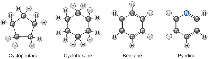 Quatro estruturas moleculares são mostradas. O ciclopentano é um anel composto por cinco carbonos, cada um com dois hidrogênios conectados. O ciclohexano é um anel de seis carbonos, cada um com dois hidrogênios conectados. O benzeno é um anel de seis carbonos com ligações duplas alternadas. Cada carbono tem um hidrogênio ligado. A piridina é igual ao benzeno, mas um nitrogênio é substituído por um dos carbonos. Nenhum hidrogênio está ligado ao nitrogênio.