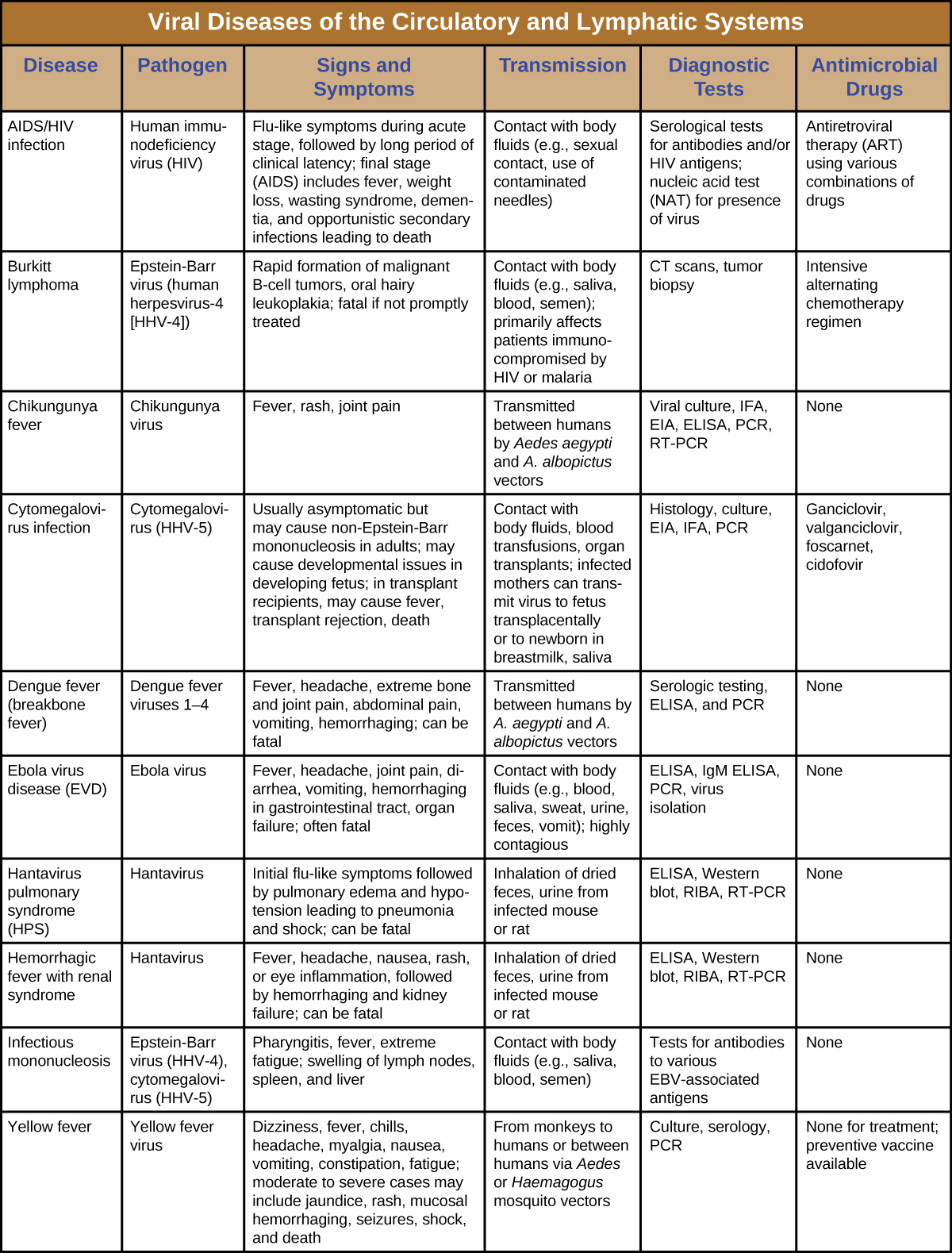 Table titled: Viral Diseases of the Circulatory and Lymphatic Systems. Columns: Disease, Pathogen, Signs and Symptoms, Transmission, Diagnostic Tests, Antimicrobial Drugs. AIDS/HIV infection; Human immunodeficiency virus (HIV); Flu-like symptoms during acute stage, followed by long period of clinical latency; final stage (AIDS) includes fever, weight loss, wasting syndrome, dementia, and opportunistic secondary infections leading to death; Contact with body fluids (e.g., sexual contact, use of contaminated needles); Serological tests for antibodies and/or HIV antigens; nucleic acid test (NAT) for presence of virus; Antiretroviral therapy (ART) using various combinations of drugs. Burkitt lymphoma; Epstein-Barr virus (human herpesvirus-4 [HHV-4]); Rapid formation of malignant B-cell tumors, oral hairy leukoplakia; fatal if not promptly treated; Contact with body fluids (e.g., saliva, blood, semen); primarily affects patients immunocompromised by HIV or malaria; CT scans, tumor biopsy; Intensive alternating chemotherapy regimen. Chikungunya fever; Chikungunya virus; Fever, rash, joint pain ; Transmitted between humans by Aedes aegypti and A. albopictus vectors; Viral culture, IFA, EIA, ELISA, PCR, RT-PCR; None. Cytomegalovirus infection; Cytomegalovirus (HHV-5); Usually asymptomatic but may cause non-Epstein-Barr mononucleosis in adults; may cause developmental issues in developing fetus; in transplant recipients, may cause fever, transplant rejection, death; Contact with body fluids, blood transfusions, organ transplants; infected mothers can transmit virus to fetus transplacentally or to newborn in breastmilk, saliva; Histology, culture, EIA, IFA, PCR; Ganciclovir, valganciclovir, foscarnet, cidofovir. Dengue fever (breakbone fever); Dengue fever viruses 1–4; Fever, headache, extreme bone and joint pain, abdominal pain, vomiting, hemorrhaging; can be fatal Transmitted between humans by A. aegypti and A. albopictus vectors; Serologic testing, ELISA, and RT-PCR; None. Ebola virus disease (EVD); Ebola virus; Fever, headache, joint pain, diarrhea, vomiting, hemorrhaging in gastrointestinal tract, organ failure; often fatal; Contact with body fluids (e.g., blood, saliva, sweat, urine, feces, vomit); highly contagious; ELISA, IgM ELISA, PCR, and virus isolation; None. Hantavirus pulmonary syndrome (HPS); Hantavirus; Initial flu-like symptoms followed by pulmonary edema and hypotension leading to pneumonia and shock; can be fatal; Inhalation of dried feces, urine from infected mouse or rat; ELISA, Western blot, RIBA, RT-PCR; None. Hemorrhagic fever with renal syndrome; Hantavirus; Fever, headache, nausea, rash, or eye inflammation, followed by hemorrhaging and kidney failure; can be fatal Inhalation of dried feces, urine from infected mouse or rat; ELISA, Western blot, RIBA, RT-PCR; None. Infectious mononucleosis; Epstein-Barr virus (HHV-4), cytomegalovirus (HHV-5); Pharyngitis, fever, extreme fatigue; swelling of lymph nodes, spleen, and liver; Contact with body fluids (e.g., saliva, blood, semen); Tests for antibodies to various EBV-associated antigens; None. Yellow fever; Yellow fever virus; Dizziness, fever, chills, headache, myalgia, nausea, vomiting, constipation, fatigue; moderate to severe cases may include jaundice, rash, mucosal, hemorrhaging, seizures, shock, and death; From monkeys to humans or between humans via Aedes or Haemagogus mosquito vectors; Culture, serology, PCR; None for treatment; preventive vaccine available.