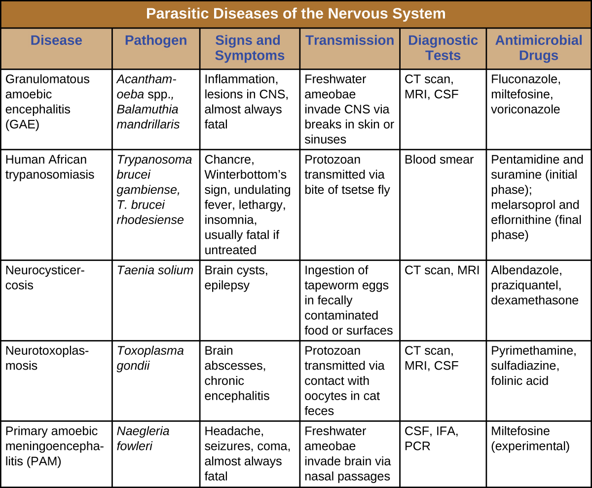 Table titled: Parasitic Diseases of the Nervous System. Columns: Disease; Pathogen; Signs and Symptoms; Transmission; Diagnostic Tests; Antimicrobial Drugs. Disease: Granulomatous amoebic encephalitis (GAE); Acanthamoeba spp., Balamuthia mandrillaris; Inflammation, lesions in CNS, almost always fatal Freshwater ameobae invade CNS via breaks in skin or sinuses; CT scan, MRI, CSF; Fluconazole, miltefosine, voriconazole. Disease: Human African trypanosomiasis; Trypanosoma brucei gambiense, T. brucei rhodesiense; Chancre, Winterbottom’s sign, undulating fever, lethargy, insomnia, usually fatal if untreated; Protozoan transmitted via bite of tsetse fly; Blood smear; Pentamidine and suramine (initial phase); melarsoprol and eflornithine (final phase). Disease: Neurocysticercosis; Taenia solium; Brain cysts, epilepsy Ingestion of tapeworm eggs in fecally contaminated food or surfaces; CT scan, MRI; Albendazole, praziquantel, dexamethasone. Disease: Neurotoxoplasmosis; Toxoplasma gondii Brain abscesses, chronic encephalitis; Protozoan transmitted via contact with oocytes in cat feces; CT scan, MRI, CSF; Pyrimethamine, sulfadiazine, folinic acid. Disease: Primary amoebic meningoencephalitis (PAM) Naegleria fowleri; Headache, seizures, coma, almost always fatal; Freshwater ameobae invade brain via nasal passages; CSF, IFA, PCR; Miltefosine (experimental).