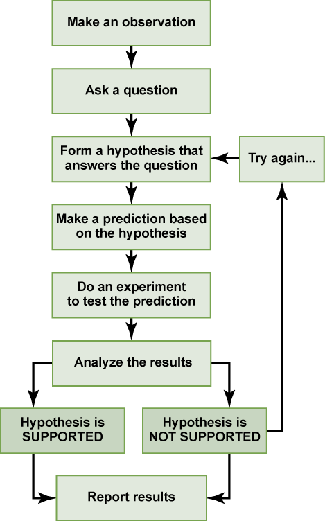 Flowchart of the scientific method: observation, question, hypothesis, prediction, experiment, analysis, then results reported or revise and try again.
