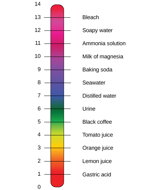 Una barra de arco iris representa la escala de pH, y se da una sustancia de ejemplo en cada valor de pH. Las soluciones básicas comunes son agua de mar y lejía. Las soluciones ácidas comunes son el café negro y el jugo de limón.