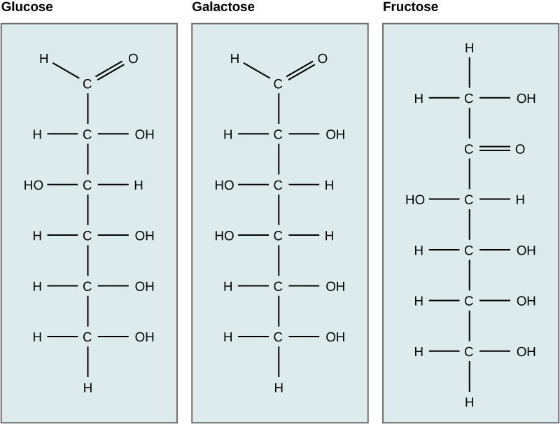 Estructuras químicas de glucosa, galactosa y fructosa.