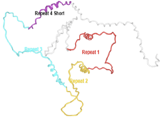 Map showing different routes labeled "Repeat," "Repeat 1," "Repeat 2," and "Repeat & Short" in various colors.