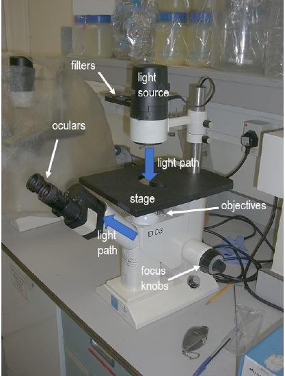 6.3: Cell Culture Equipment - Biology LibreTexts
