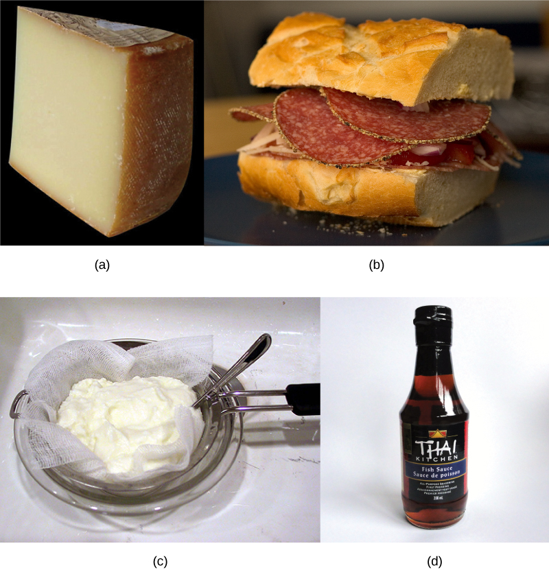 El collage de fotos muestra queso (a), salami (b) en un sándwich, yogur (c) en un colador y una botella de salsa de pescado (d).