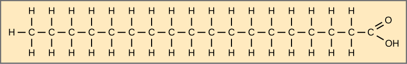 يظهر هيكل حمض الإستياريك. يحتوي هذا الحمض الدهني على سلسلة هيدروكربونية مكونة من سبعة عشر بقايا مرتبطة لفترة طويلة بمجموعة الأسيتيل. جميع الروابط بين الكربونات هي روابط مفردة.