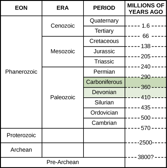 Este gráfico muestra una escala de tiempo geológico, comenzando con el eón prearcaico hace unos 3800 millones de años, y terminando con el periodo Cuaternario en la era cenozoica en el eón fanerozoico hace aproximadamente 1.6 millones de años. El período devónico y el período carbonífero se encuentran ambos en la era Paleozoica. El periodo devónico comenzó hace 410 millones de años y terminó hace 360 millones de años. El periodo Carbonífero fue de hace 360 millones de años a 290 millones de años atrás.
