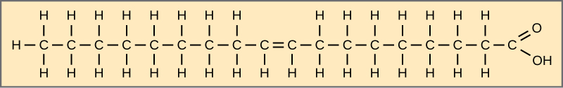 La structure de l'acide oléique est montrée. Cet acide gras possède une chaîne hydrocarbonée de dix-sept résidus attachés depuis longtemps à un groupe acétyle. La liaison entre le carbone 8 et le carbone 9 est une double liaison.