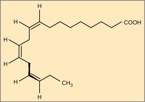 Les structures moléculaires de l'acide alpha-linolénique, un acide gras oméga-3, sont présentées. L'acide alpha-linolénique possède trois doubles liaisons situées à huit, onze et quatorze résidus du groupe acétyle. Il a une forme en crochet.