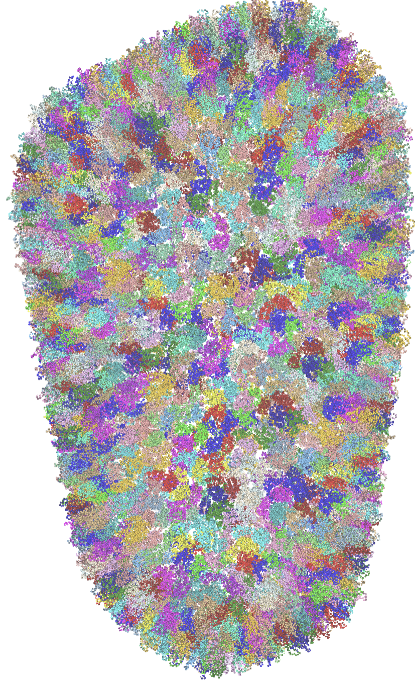 Mature HIV-1 capsid structure&nbsp;(3J3Q).png