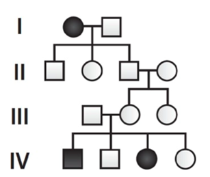 Pedigree chart