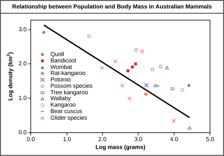  Graph plots log density in kilometers squared versus log body mass in grams. The values are inversely proportional, so that density decreases linearly with increasing body mass.