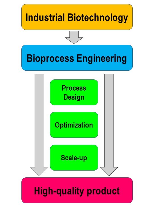 Illustration of the flowchart of industrial biotechnology to a quality product.