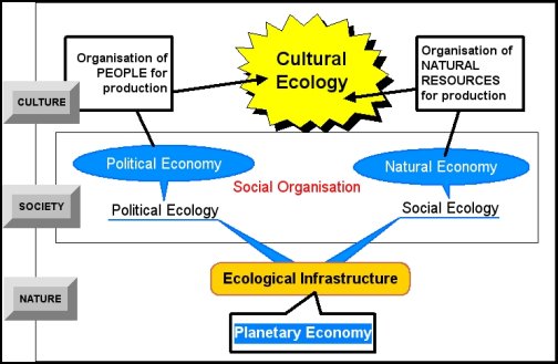 Provisional model of cultural ecology