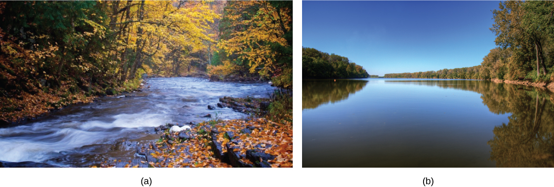 La foto (a) muestra un pequeño río poco profundo en un bosque. El agua fluye rápido sobre un lecho rocoso. La foto (b) muestra un río ancho y lento.