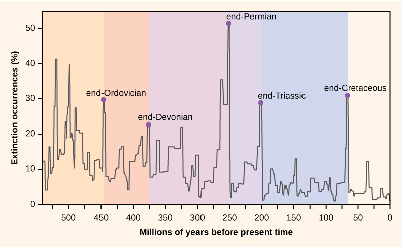  Graph plots percent extinction occurrences versus time in millions of years before present time, starting 550 million years ago. Extinction occurrences increase and decrease in a cyclical manner. At the lowest points on the cycle, extinction occurrences were between two to five percent. Spikes in the number of extinctions occurred at the end of geological periods: end-Ordovician (450 million years ago), end-Devonian (374 million years ago), end-Permian (252 million years ago), end-Triassic (200 million years ago), and end-Cretaceous (65 million years ago). During these spikes, extinction occurrences ranged from approximately twenty-five to fifty percent.