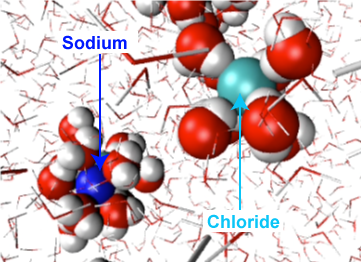 hydrating_sodium_chloride.png